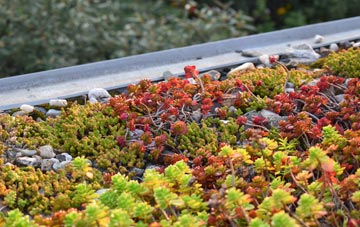the cost of Glasgow City green roof installation
