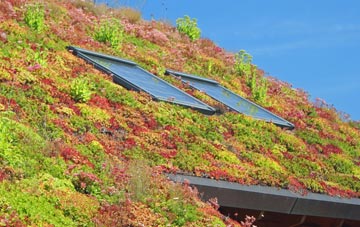 Glasgow City living roof systems