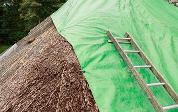 maintaining Glasgow City thatch