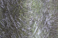 Glasgow City fibreglass roof work